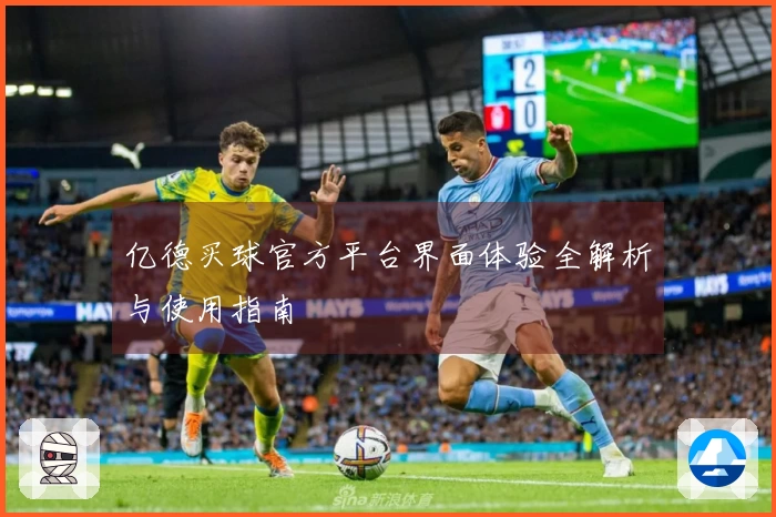 亿德买球官方平台界面体验全解析与使用指南