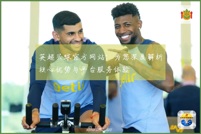英超买球官方网站：为您深度解析核心优势与平台服务体验