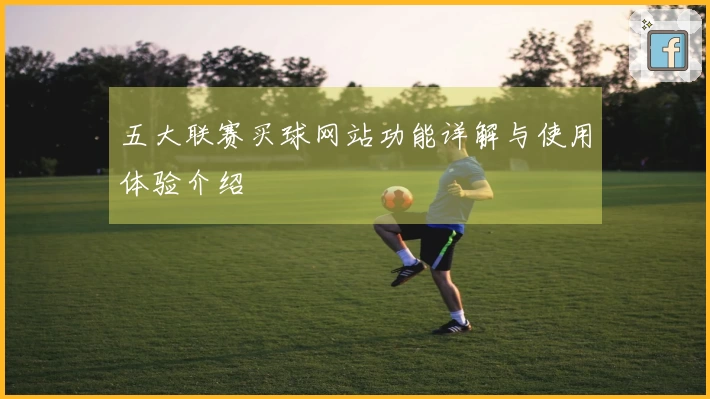 五大联赛买球网站功能详解与使用体验介绍